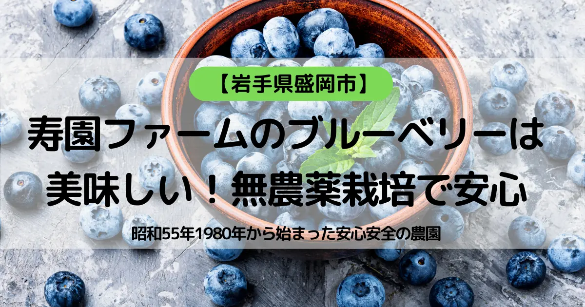 寿園ファームのブルーベリーは美味しい！無農薬栽培で安心